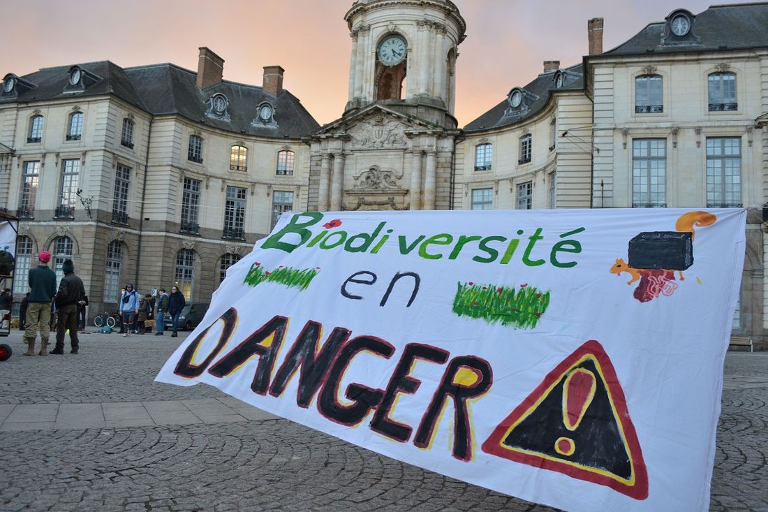 Manifestation à Rennes contre des projets d'urbanisation